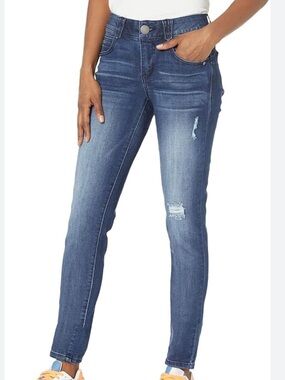 Democracy Skinny Ab Solution Jeans